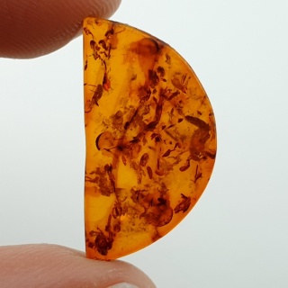 Bursztyn bałtycki płaskie półkole 22x12 mm nr 27