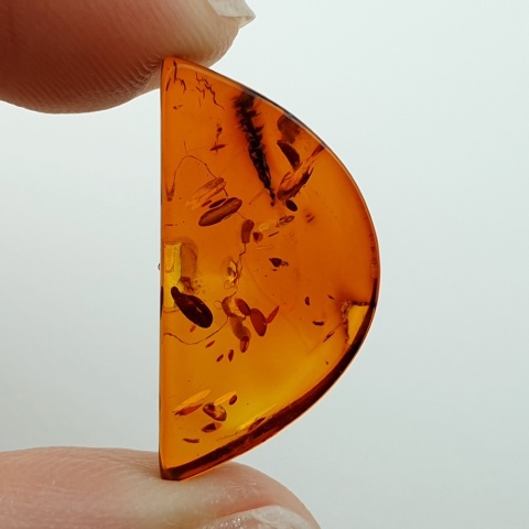 Baltic amber flat semicircle 23x12 mm no 8