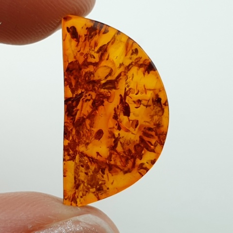 Baltic amber flat semicircle 23x13 mm no 22