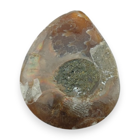 Amonit kaboszon 29x23 mm nr 8
