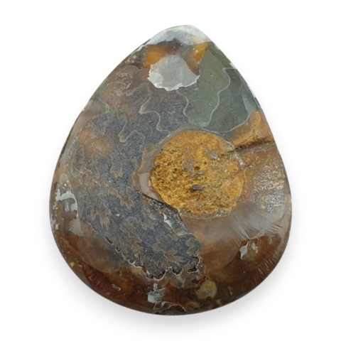 Ammonite cabochon 33x26 mm no 13