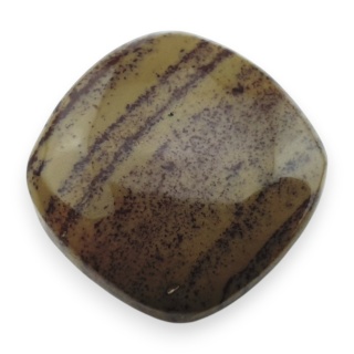 Indyjski jaspis cesarski kaboszon 23x23 mm nr 42