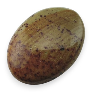 Indyjski jaspis cesarski kaboszon 24x18 mm nr 37