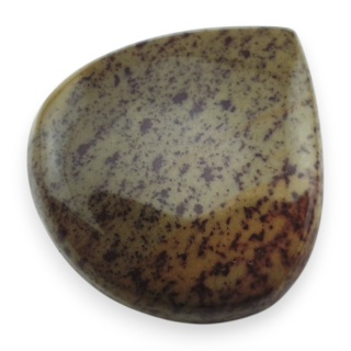 Indyjski jaspis cesarski kaboszon 28x26 mm nr 69