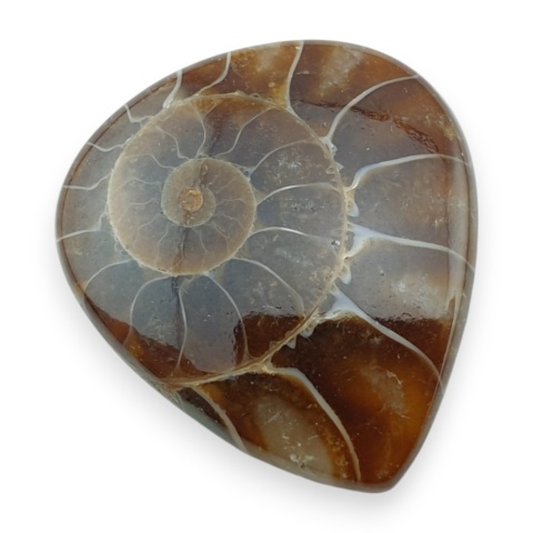 Amonit kaboszon 28x24 mm nr 29