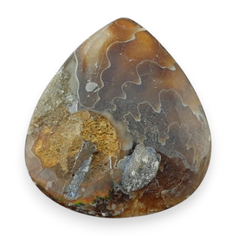 Amonit kaboszon 28x24 mm nr 29