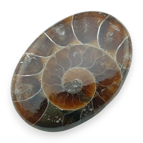 Amonit kaboszon 29x21 mm nr 67