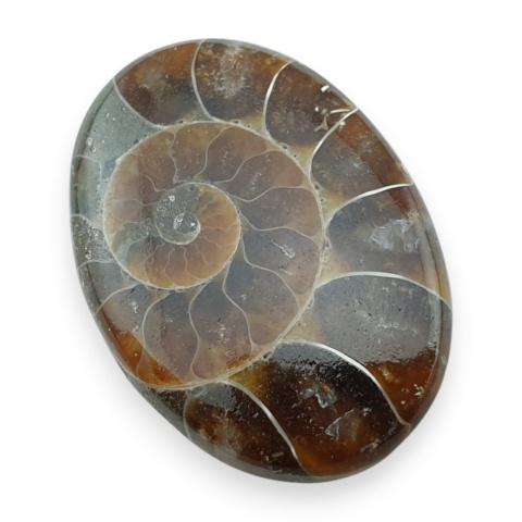 Amonit kaboszon 29x21 mm nr 67