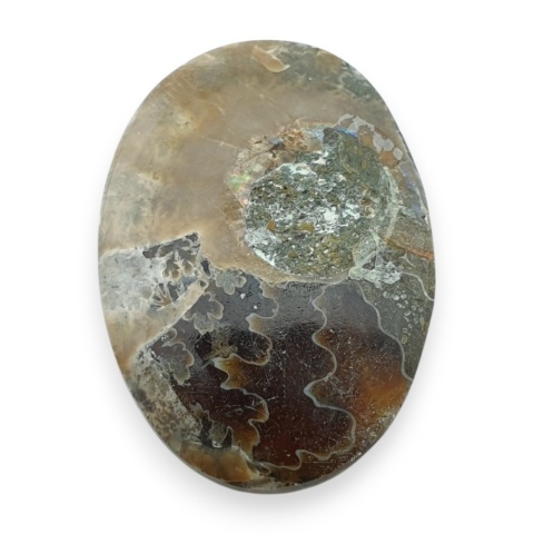 Amonit kaboszon 29x21 mm nr 67