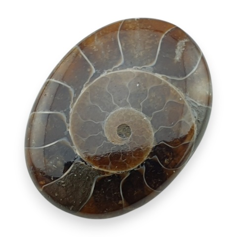 Amonit kaboszon 29x22 mm nr 34