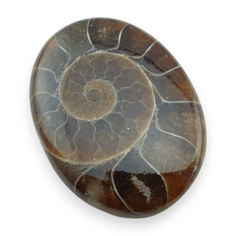 Amonit kaboszon 29x22 mm nr 34