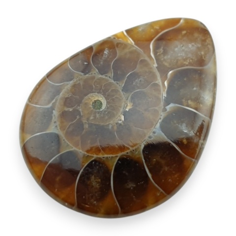 Amonit kaboszon 29x22 mm nr 72
