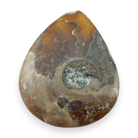 Amonit kaboszon 29x24 mm nr 43