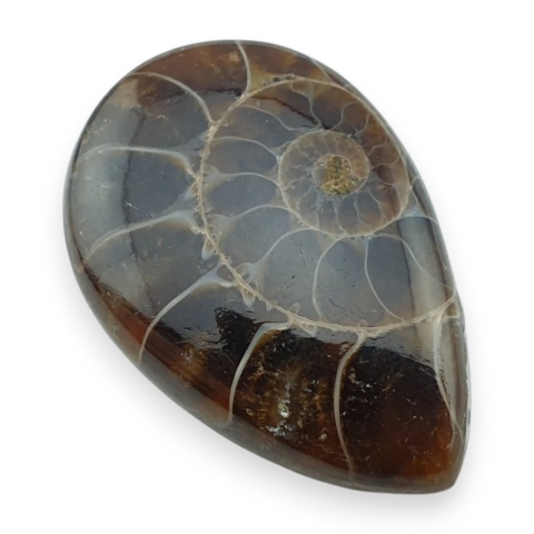 Amonit kaboszon 30x20 mm nr 48