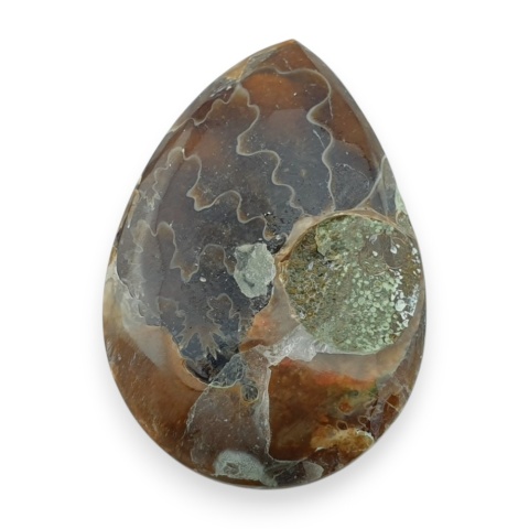 Amonit kaboszon 30x20 mm nr 48