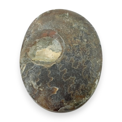 Ammonite cabochon 30x23 mm no 24