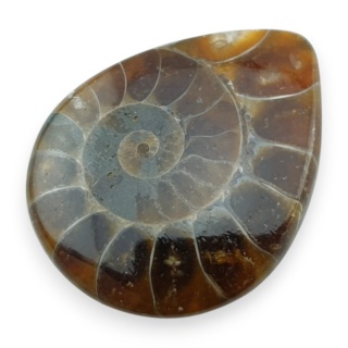 Ammonite cabochon 30x24 mm no 68