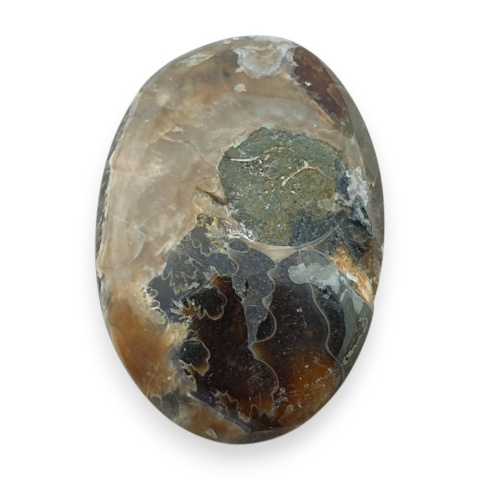 Ammonite cabochon 31x21 mm no 31
