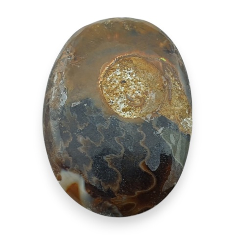 Ammonite cabochon 31x22 mm no 18