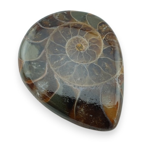 Ammonite cabochon 31x25 mm no 28