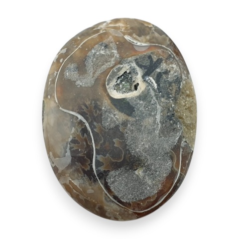 Ammonite cabochon 32x23 mm no 40