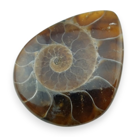 Amonit kaboszon 32x25 mm nr 20
