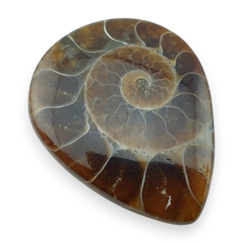 Amonit kaboszon 32x25 mm nr 20
