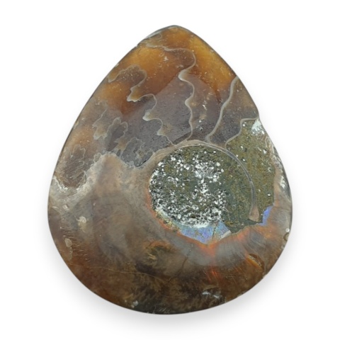 Amonit kaboszon 32x25 mm nr 20