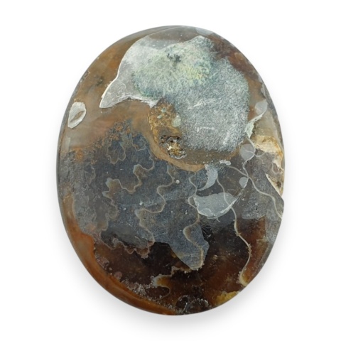 Ammonite cabochon 34x25 mm no 35