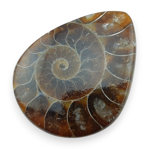Ammonite cabochon 34x26 mm no 25