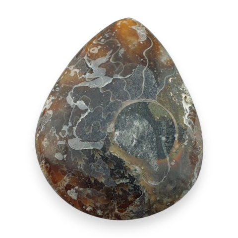 Ammonite cabochon 34x26 mm no 25