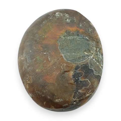 Ammonite cabochon 34x27 mm no 19