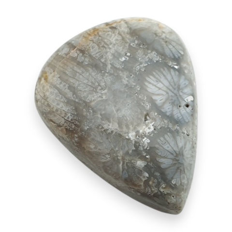 Fossil koralowiec kaboszon 24x19 mm nr 74