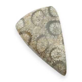 Fossil coral cabochon 25x16 mm no 118