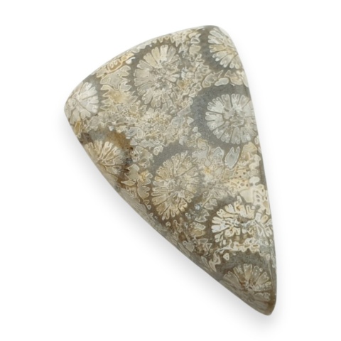 Fossil koralowiec kaboszon 25x16 mm nr 118