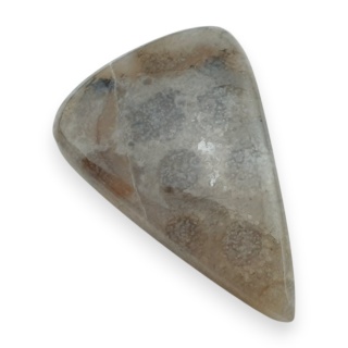 Fossil coral cabochon 25x17 mm no 112