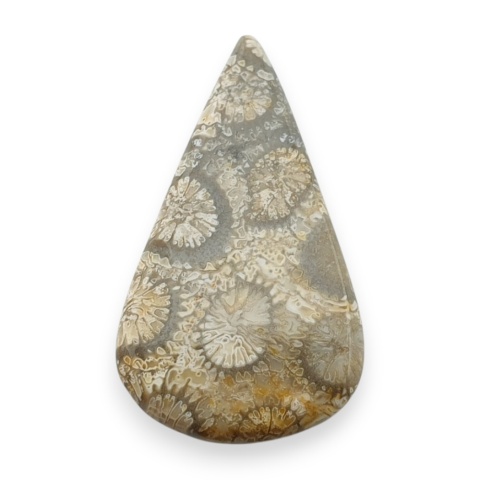 Fossil coral cabochon 26x15 mm no 45