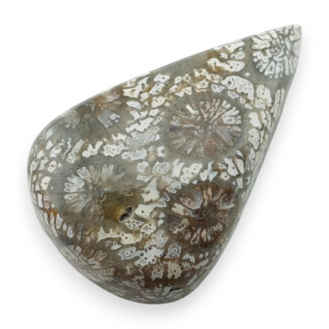 Fossil koralowiec kaboszon 26x17 mm nr 21
