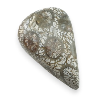 Fossil coral cabochon 26x17 mm no 21