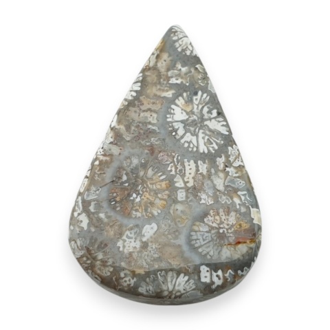 Fossil koralowiec kaboszon 26x17 mm nr 21