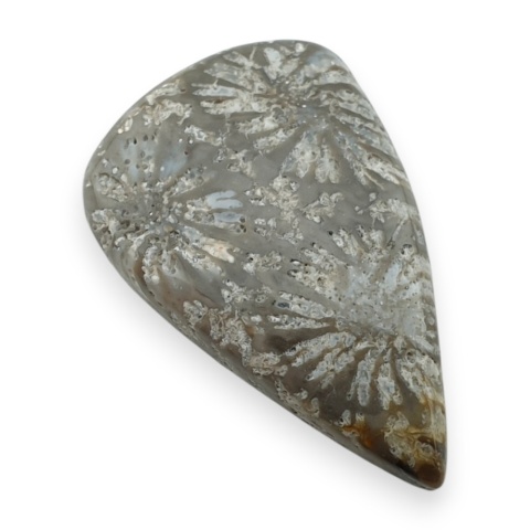 Fossil koralowiec kaboszon 26x17 mm nr 67