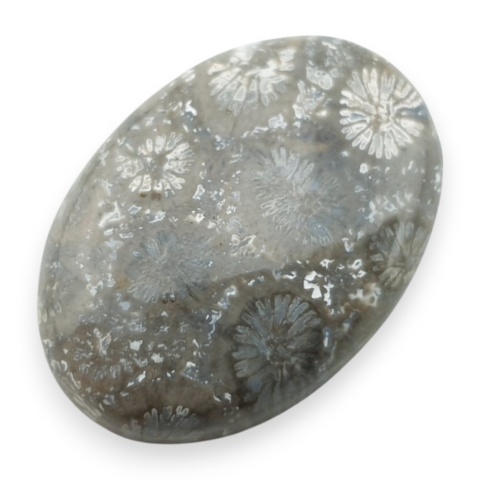 Fossil koralowiec kaboszon 26x18 mm nr 107