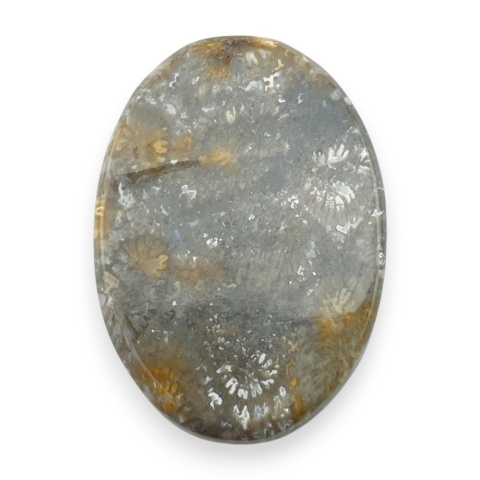 Fossil koralowiec kaboszon 26x18 mm nr 107