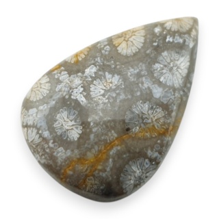 Fossil coral cabochon 26x18 mm no 109
