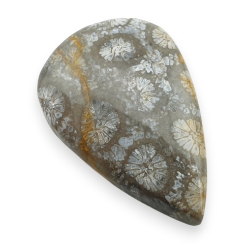 Fossil coral cabochon 26x18 mm no 109