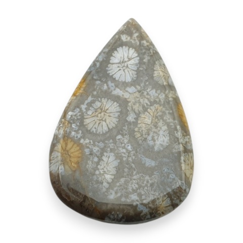 Fossil coral cabochon 26x18 mm no 109