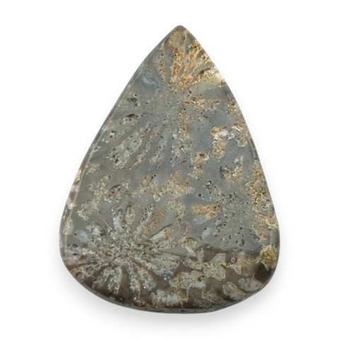 Fossil koralowiec kaboszon 26x19 mm nr 20