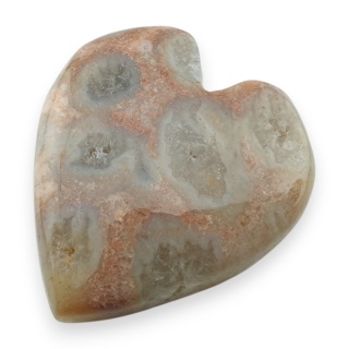 Fossil coral cabochon 26x24 mm no 14