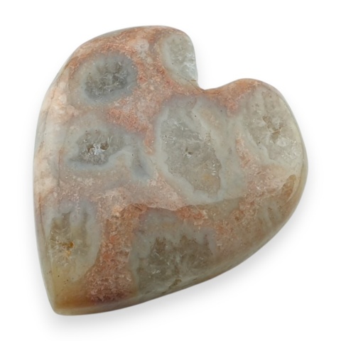 Fossil coral cabochon 26x24 mm no 14