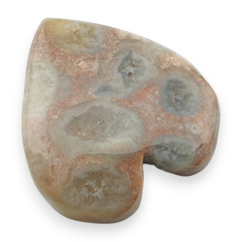 Fossil coral cabochon 26x24 mm no 14